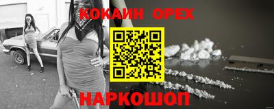 шишки Заволжье