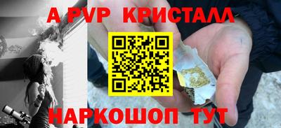 шишки Заволжье