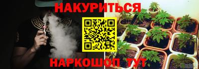 шишки Заволжье