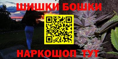 шишки Заволжье