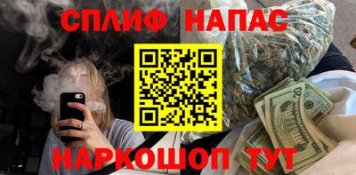 шишки Заволжье