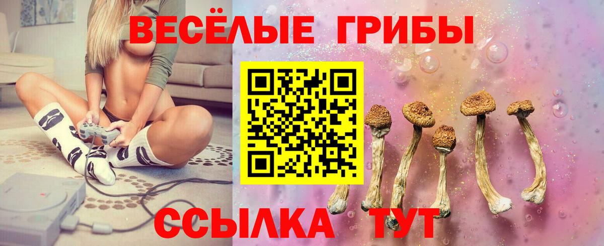 Псилоцибиновые грибы Magic Shrooms  Вход с VPN  Лыткарино 