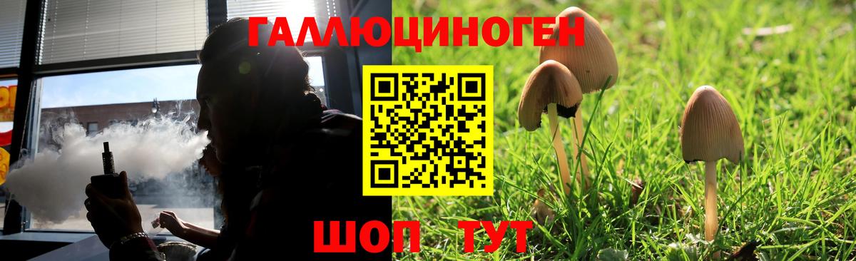 Псилоцибиновые грибы MAGIC MUSHROOMS Лыткарино